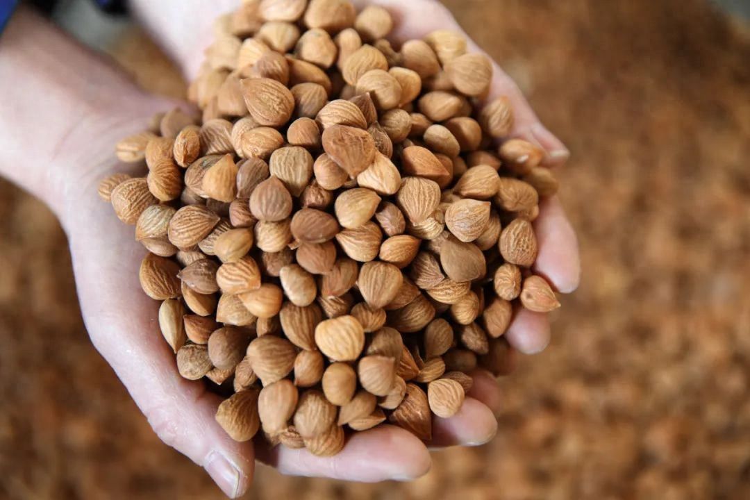 ǡđ̴ǡÿһc߀ܝֹȡ˥